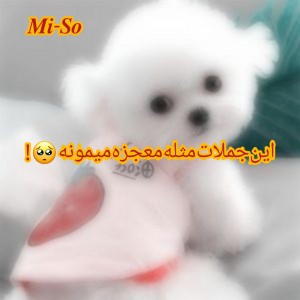 عکس جملات‌معجزه‌اسا🥺🌸