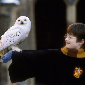 ⚡چقدر از هری پاتر میدونی⚡