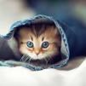 عکس چگونه فالوور جمع کنیم