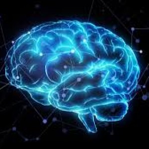 فکت و دانستنی پارت دوم