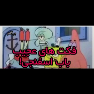 فکت های عجیب باب