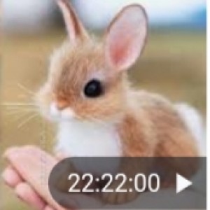 تست اموزش درست کردن بکس بادی کوچک🥕