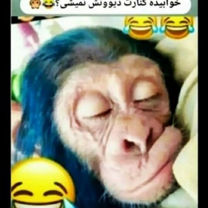 تست شادشو۲🤣🌝