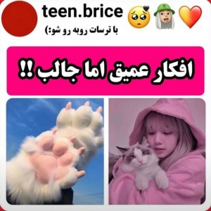 کاور