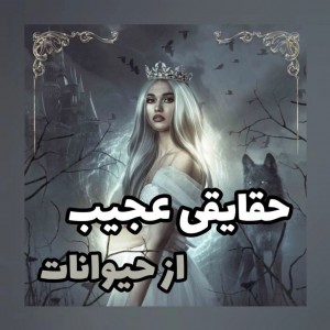 عکس حقایق جالب راجب حیوانات