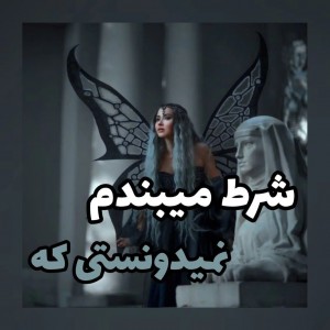 تست شرت می‌بندم نمی‌دونستی!
