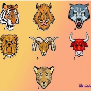 تست شخصیت شناسی۳