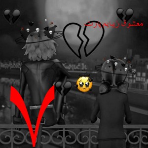 کاور