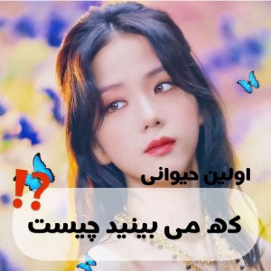 کاور