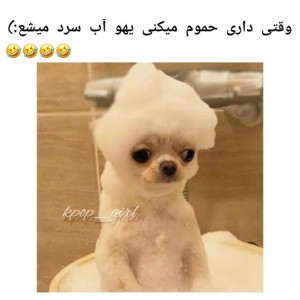 عکس طنزکده⁦⁦😆🤝😂پیرت9