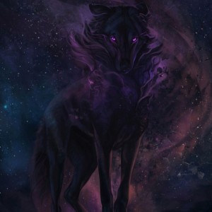 تست 🌙🐺 Wolf wallpaper 🌙🐺