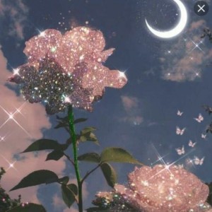 دانستنی علاوه بر چیز های جالب