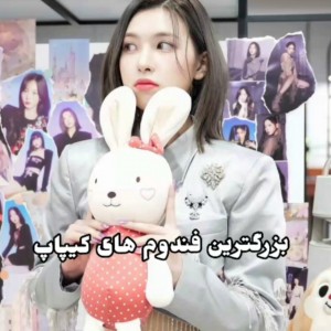 کاور