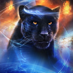 تست 🖤Panther wallpapers 🐆