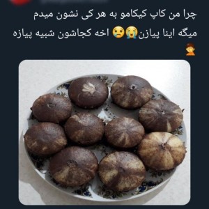 کاور