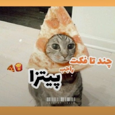کاور