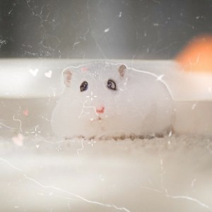 بیوگرافی من 💜😐