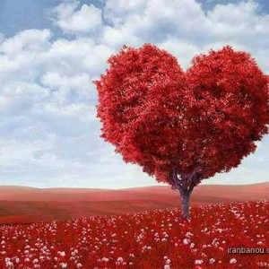 ❤️جملات ارزشمند❤️