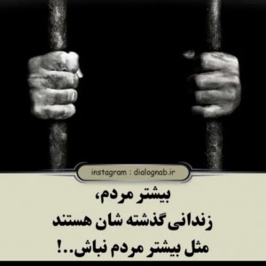 تست دیالوگ‌ناب‌