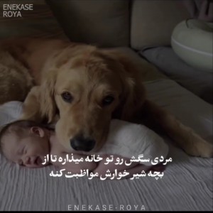 تست مَِِردًَِیِّ ......