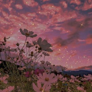 تست # چند کلمه ای زبان یاد بگیر