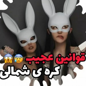 عکس قوانین وحشتناک کره شمالی😨