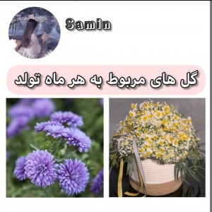 عکس گل های مربوط به هرماه تولد🌷✨