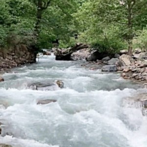 تست آموزش چینی (پارت چهارم)
