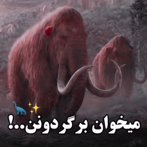 عکس می خوان برگردونن..! ✨🦕