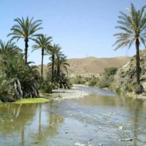 تست آموزش ژاپنی (پارت چهارم)