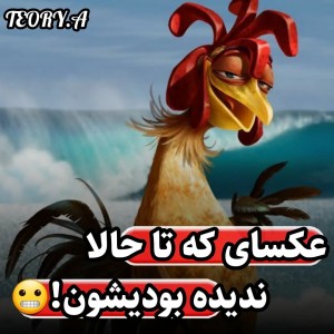 عکس عکسای که تاحالا ندیده بودیشون!😬