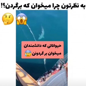 عکس حیواناتی‌که....😐🧪