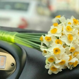 کاور