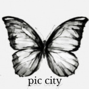 pic city