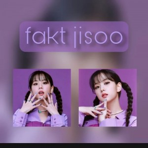 فکت از جیسو