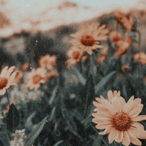 با کدوم ایدل...