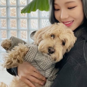 آپدیت توییتر کارینا⛓️