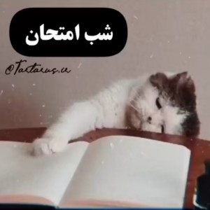 عکس شب امتحان🙃📚😭💔