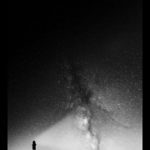 دیدی چیکارش ن کردن؟