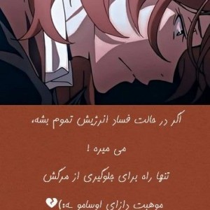 تست فکت از بانگو استری داگ🗿✨