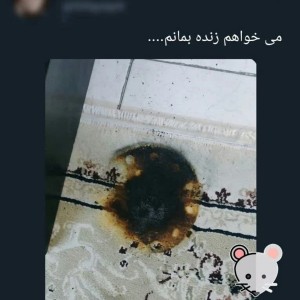 کاور