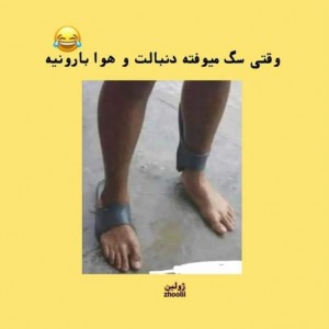 تست طنز جررر پارت۲