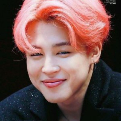 جیمین تو سازمان ملل بهمون گفت