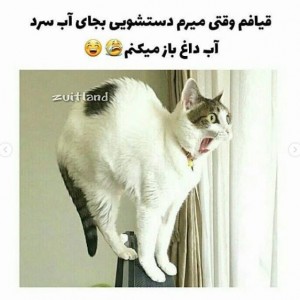 تست طنز جررر پارت۳