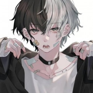 قشنگترین انیمه ها