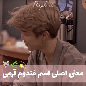 معنی Army🧚‍♀️🌿