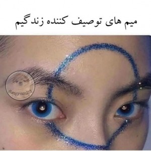 میم های توصیف کننده...