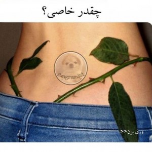 تست چقدر خاصی؟🌚🌸