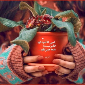 تست عکس دخترونه:)p9✨