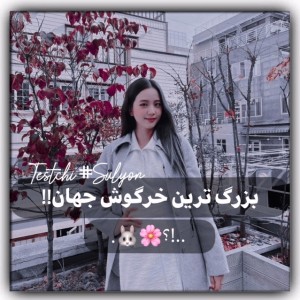 تست 「بزرگترین‌خرگوش‌دنیا𖥻」